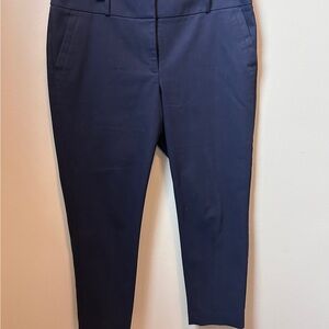 Ann Taylor Loft Dark Blue Trousers
